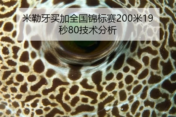 米勒牙买加全国锦标赛200米19秒80技术分析
